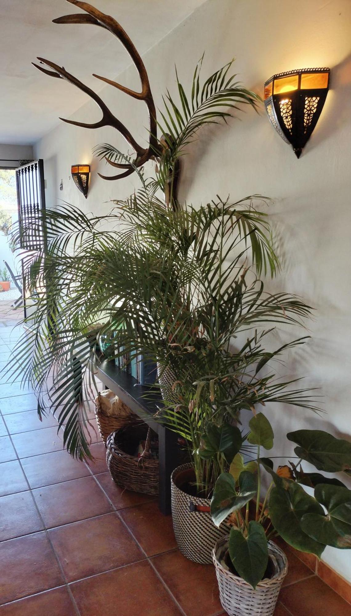 Todos Y Tonya Bed & Breakfast Archidona Exterior photo